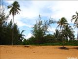 Chatarra Beach - LOÍZA
